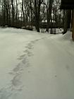 2005-01-23_snow-storm 086.JPG